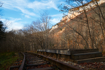 Railway platform in the autumn forest.