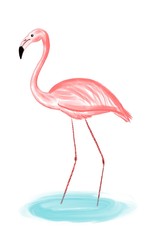 Pink flamingo bird isolated on white background