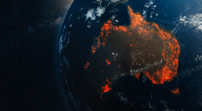 Ecological disaster of fires in Australia © OSORIOartist
