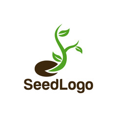 Growing Seed Logo Designs Vector Seed Stock Vector 