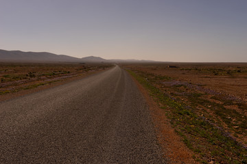 a street to the south