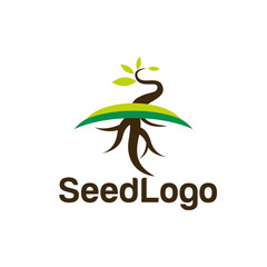 Growing Seed Logo Designs Vector Seed Stock Vector 