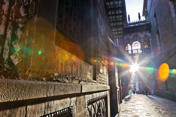  Bishops Bridge from 1929 (Pont del Bisbe), Bario Gotico, Barcelona, Spain