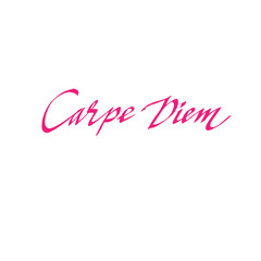 hand-written Carpe diem text. For banner, poster print, print, social media. vector