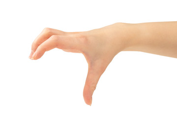 Hand of woman isolated on white