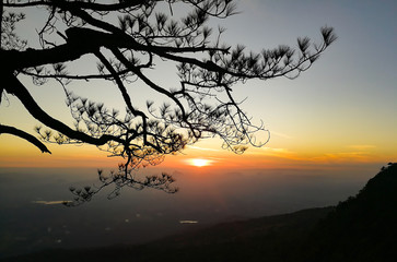 Real light  the sunrise at NOK EAN CLIFF, Phu Kradueng National Park, Thailand. Use for background of Wallpaper.