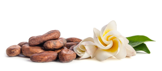 Beautiful flowers and cacao beans  isolated on white background