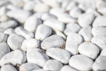 Beach with white and gray stones softly rounded