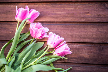 Beautiful pink tulips on old rustic wood. Romantic flower artistic background