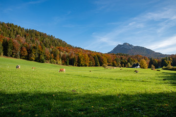 Fototapeta premium mountain scenery