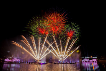 Beautiful fireworks in the night sky.
