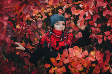 A young pretty girl in a knitted gray hat, a dark woolen coat, gloves and a scarf stands on the background of autumn bushes with red leaves. The concept of walking in nature.