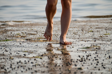 Closeup of woman's legs walking on beach with many snails rocks
