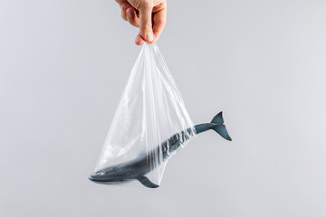 Naklejka premium The concept of World Environment Day. The man's hand holds the blue whale in a plastic bag. In the blank for social advertising there is a place for the inscription.