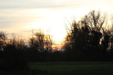Fototapeta na wymiar Sonnenuntergang im Winter im Wald