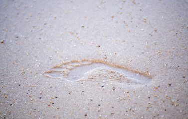 Footprints walking on the beach by the morning, appropriate for the Backdrop idea copy space