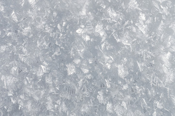 Snow background with detailed snowflakes. A macro photo of real snow crystals: large stellar dendrites with hexagonal symmetry, long elegant patterns and delicate transparent structures