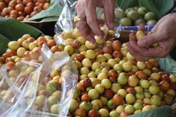 Hand is selecting Monkey Apples in basket. Pile Monkey Apples have dark and light brown, yellow and light green color.