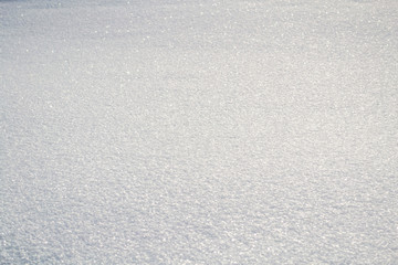 A field of brilliant white snow