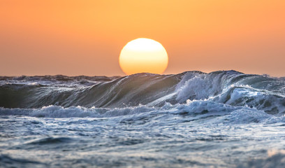 meer