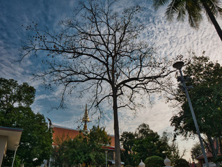Wonderful view around of the Wat Thasung Uthai Thani,Thailand.   (Notice : Thai langauge mean name of building)