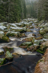 Vydra river in winter cold day in national park Sumava