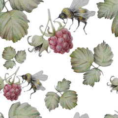 Seamless illustration pattern. Hand-drawn graphics with colored pencils. Image of berries and leaves of raspberries with a bee.