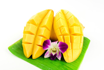 mango on white background