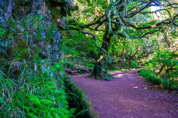 Hiking Levada trail 25 Fontes in Laurel forest - Path to the famous Twenty-Five Fountains in beautiful landscape scenery -  Madeira Island, Portugal