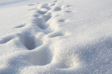 Human footprints on white shiny snow close up
