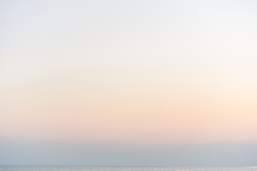 Fototapeta premium beautiful sky sunset,sky background