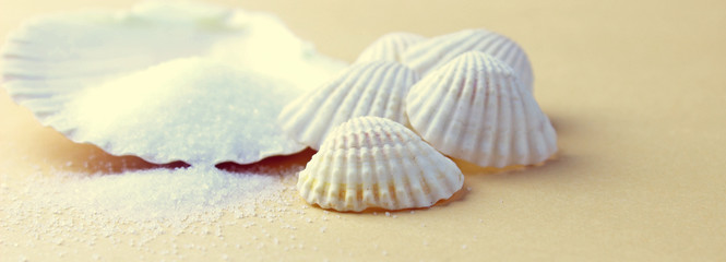 Summer time concept with sea shells and starfish on a sand background