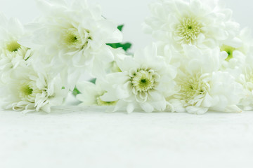 white flower background