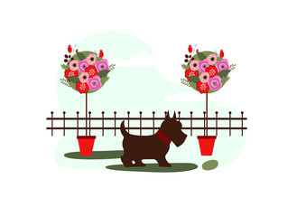 dog walking in the street near flowerpots with flowers, vector illustration on a white background
