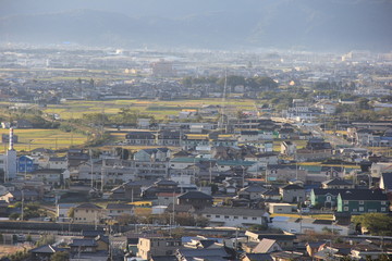 わずかに朝靄がかかった住宅街の風景