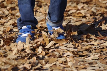 Obraz premium 落ち葉の中を歩く