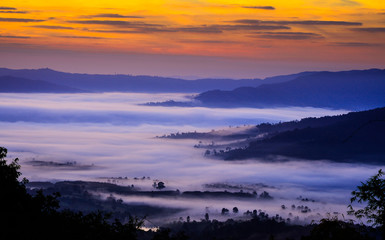 Fototapeta premium Stunning amazed natural landscape of sun rising above mountain and sea of mist in the fresh morning on high mountain in Thailand.
