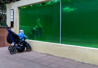 Taucher im Aquarium