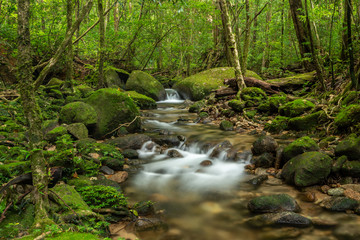 Naklejka na ściany i meble beautiful waterfall in green forest in jungle