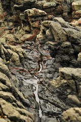 Water sitting in cracks between old lava volcanic rocks at Kitty Miller Bay, Phillip Island on the Bass Coast, Gippsland, Victoria, Australia.