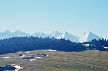 Widok na pola i Tatry © Patdrig Torc