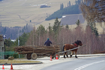 Koń ciągnący furmankę wraz z drewnem