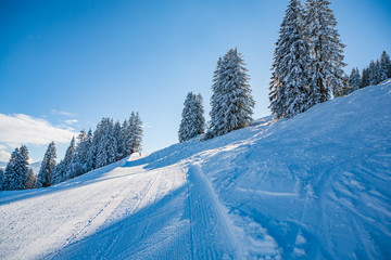 The Wilder Keiser piste