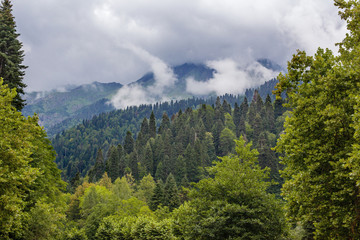 Beautiful mountains along the road in Abkhazia