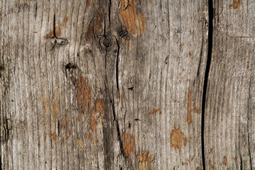 Natural aged grunge hard wood board surface flat texture