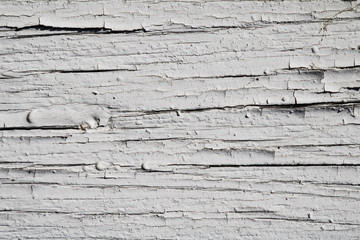 White painted aged grunge hard wood board surface flat texture