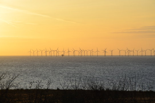 Windmills power plant, harvesting wind energy