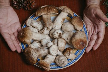 Ceps lie on round plate. View from above