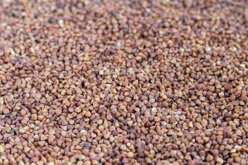 Buckwheat groats are scattered on a light background. Dark texture and background.
