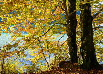 Peaceful Autumn Alps mountain lake Offensee lake, Salzkammergut, Upper Austria.